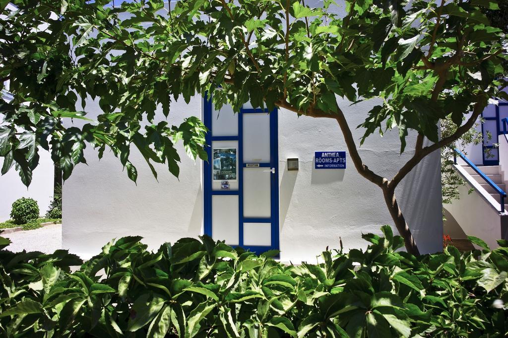 Anthea Apartments Παλαιοχώρα Εξωτερικό φωτογραφία